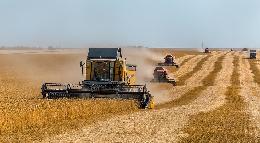 В России собрано более 30 млн тонн зерна